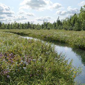 3D Archmodels vol. 235